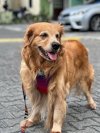 Dory lives with her family in Fortaleza, Ceará. 