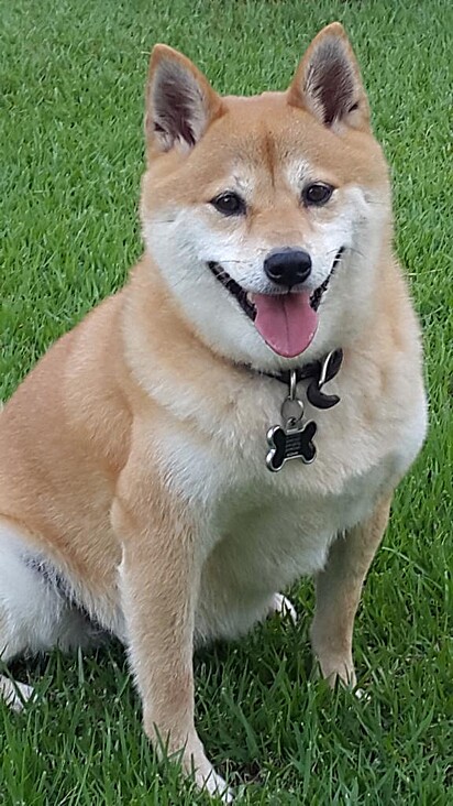 Max before the disease.