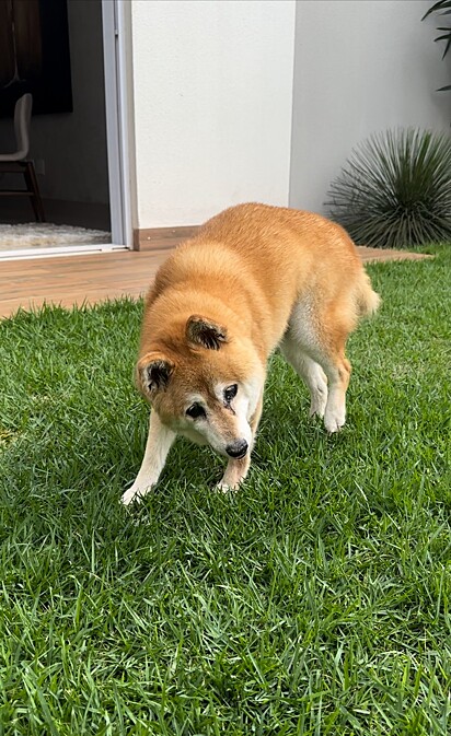 Max has a hard time doing most of the daily routine things.