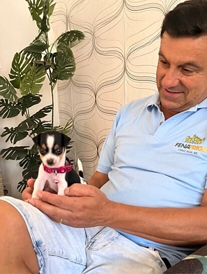 Amorinha in Isadora’s dad’s lap.