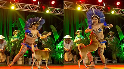 Caramel stray invades the stage and the artist improvises a dance with the dog. 