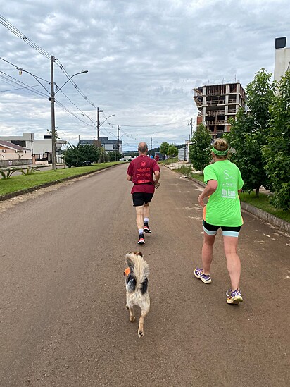 If one day Bob was rejected, today he is an inseparable race partner of his owner.