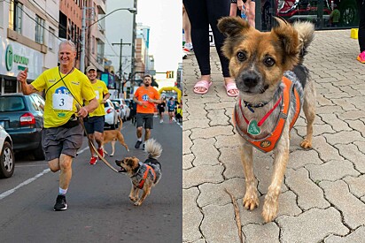 Partners in life and on the track, the owner and his dog earned a spot on the podium in a street race. 