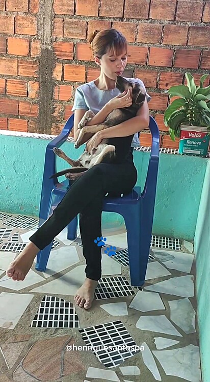 The dog won the hearts of the whole family.