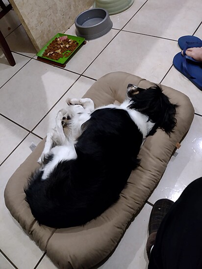 Kira lying on her bed. 