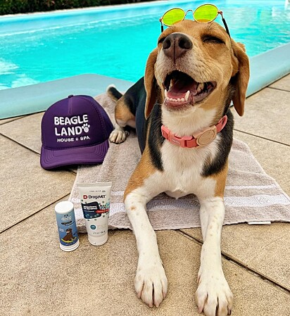 Bibiana is a swimming teacher at the daycare.