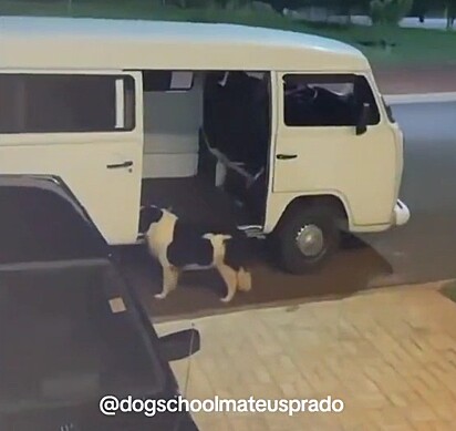 Luna loves Uncle Mateus’ van. 