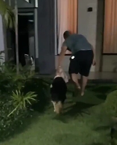 Mateus took the dog to her home.