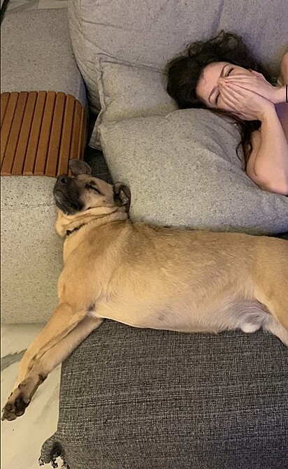 Bambino napping on the couch.