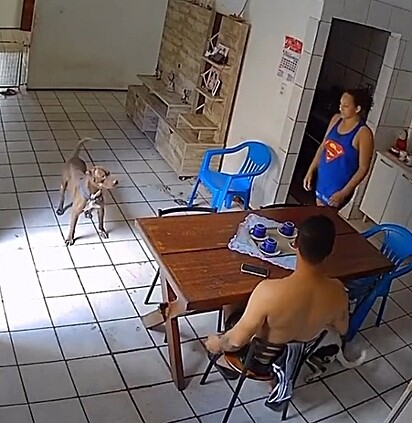 Bol scared his family by holding the knife in his mouth.