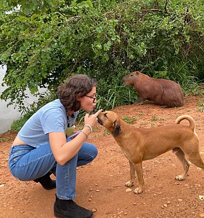 The caramel dog is cared for by the university community.