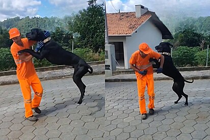 Moscou is eager to see his friend.