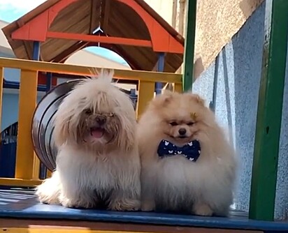 Noah and Charlie.