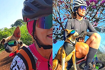 Meet Mery, a little mixed-breed dog who loves going cycling with her owner. 
