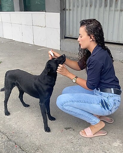 Paloma has been taking care of strays since she was a child. 
