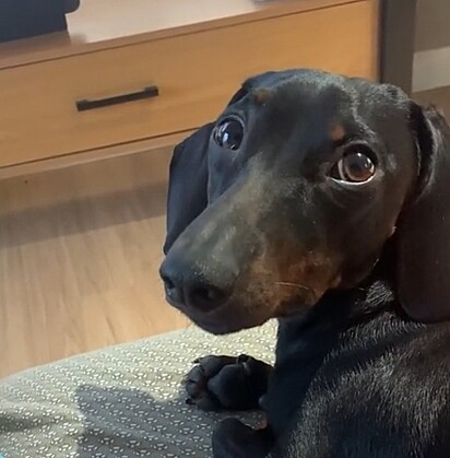 His little face.