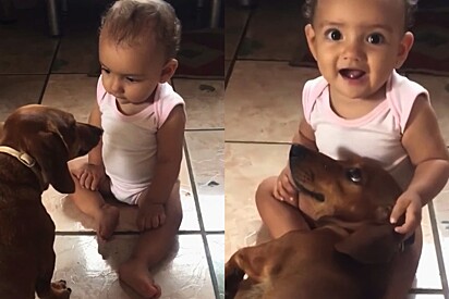 The dog and the baby are very good friends.