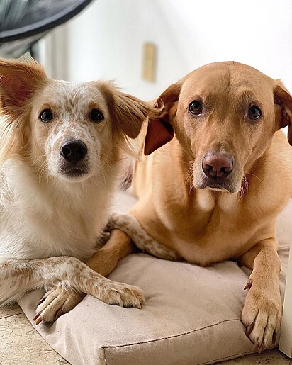 Thor and his sister Zara.