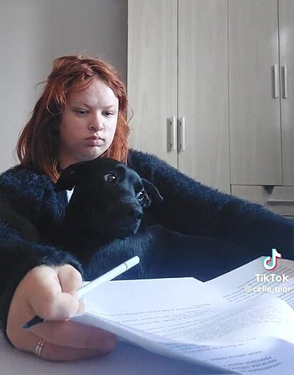 Liz sitting on her owners lap.