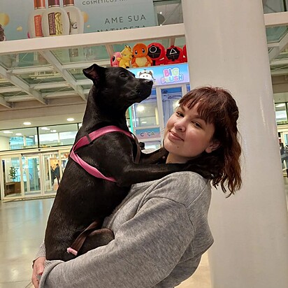 The dog walking around the mall.