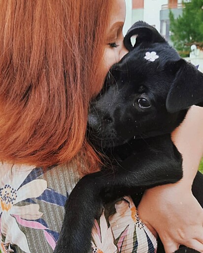 Liz was adopted as a puppy.