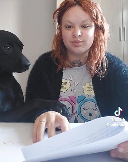 The puppy asking to climb onto her owners lap.