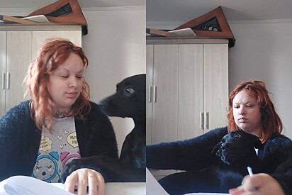 Liz, the dog, weighs 44 pounds but still sees herself as a little baby.