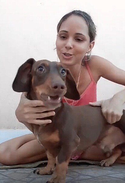 Scooby is a very active little dog.