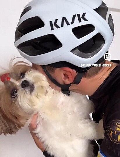 Jolie, the Shih Tzu, unhappy because her owner is hugging her while he’s sweaty.